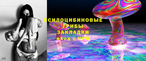 дмт Надым