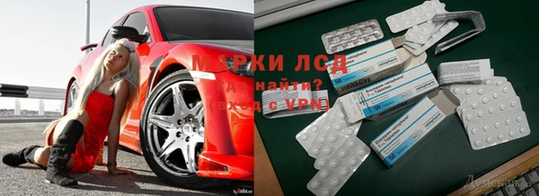 шишки Наволоки