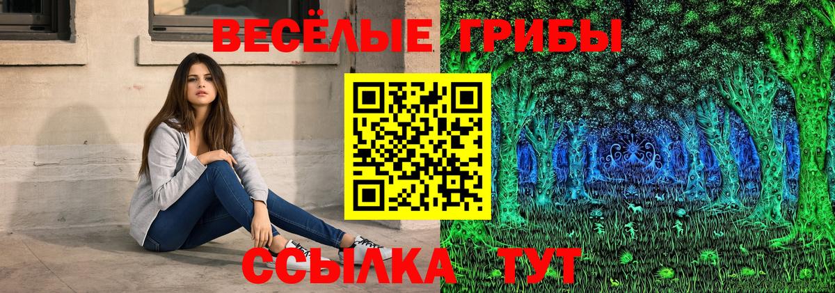 Псилоцибиновые грибы прущие грибы Карачаевск