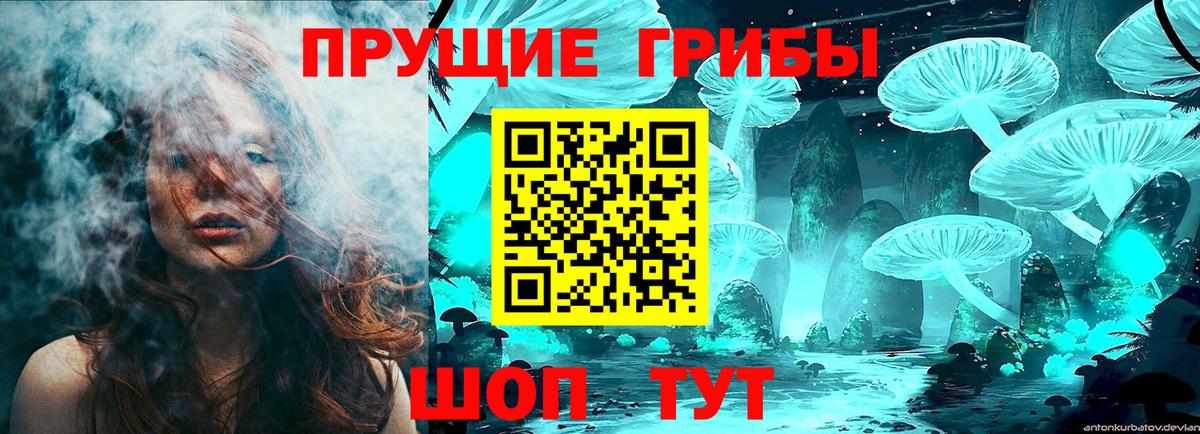 Карачаевск  Галлюциногенные грибы ЛСД  Вход с VPN 
